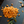 Load image into Gallery viewer, Bayou Bites